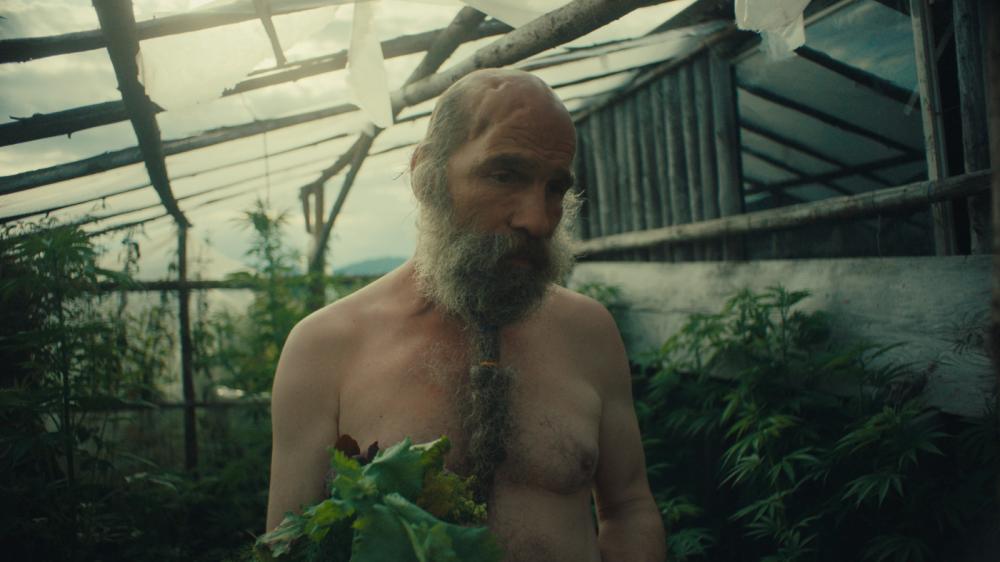 Better Go Mad in the Wild